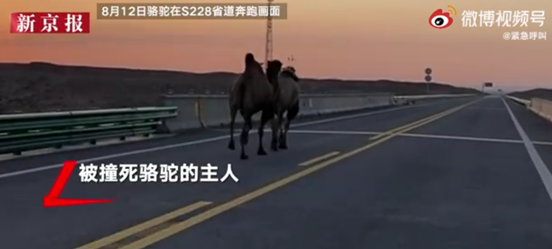 扬州两个副市长被处分,两个区委书记被免职 【三分钟法治新闻全知道】休闲区蓝鸢梦想 - Www.slyday.coM 扬州两个副市长被处分,两个区委书记被免职 【三分钟法治新闻全知道】休闲区蓝鸢梦想 - Www.slyday.coM