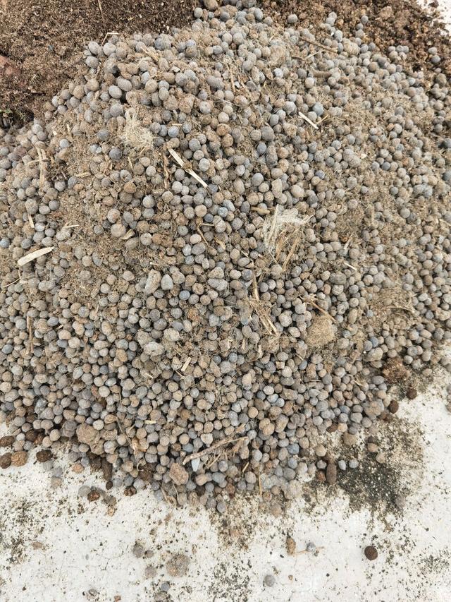 养花的旧土,加入三种料,拿来养花种植,花草照样长势旺休闲区蓝鸢梦想 - Www.slyday.coM 养花的旧土,加入三种料,拿来养花种植,花草照样长势旺休闲区蓝鸢梦想 - Www.slyday.coM