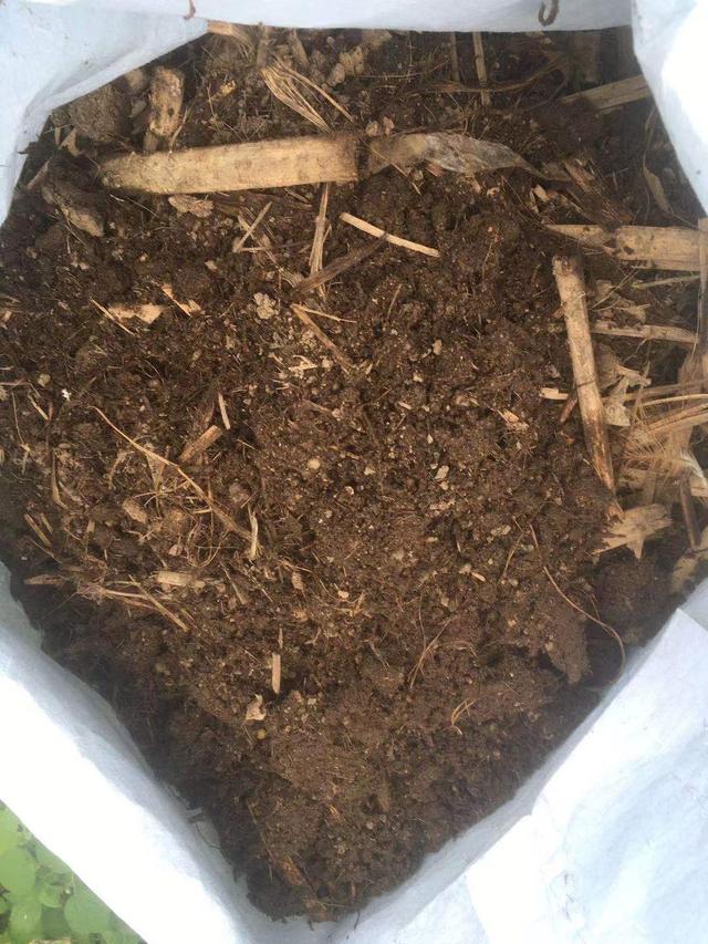 养花的旧土,加入三种料,拿来养花种植,花草照样长势旺休闲区蓝鸢梦想 - Www.slyday.coM 养花的旧土,加入三种料,拿来养花种植,花草照样长势旺休闲区蓝鸢梦想 - Www.slyday.coM