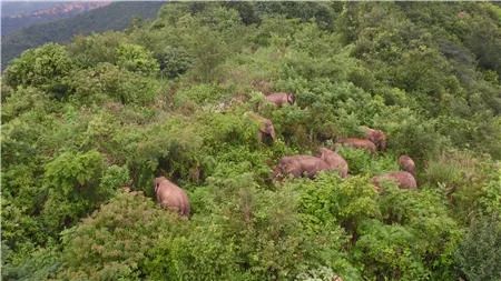 早安,地球村丨我国拟立法明确:医师公共场所自愿施救不担责休闲区蓝鸢梦想 - Www.slyday.coM 早安,地球村丨我国拟立法明确:医师公共场所自愿施救不担责休闲区蓝鸢梦想 - Www.slyday.coM