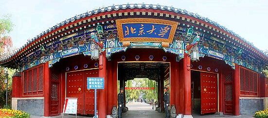 名子排行_“最美韩国偶像”排行榜出现不少新名字,但她依然是冠军!