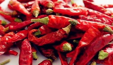 遵义满天星VS<a href=