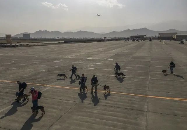 图源:社交媒体推特