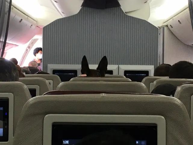 图源:社交媒体推特