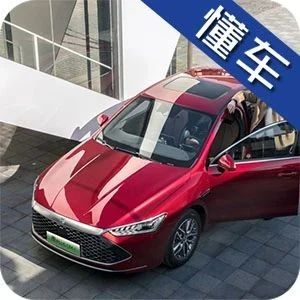 吃得少跑得快，这些“马儿”真不赖！小康家轿这样选