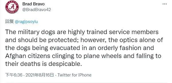 部分评论截图