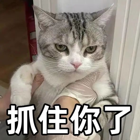 “霸王条款”、虚假宣传!厦门三家校外培训机构被立案调查!休闲区蓝鸢梦想 - Www.slyday.coM “霸王条款”、虚假宣传!厦门三家校外培训机构被立案调查!休闲区蓝鸢梦想 - Www.slyday.coM