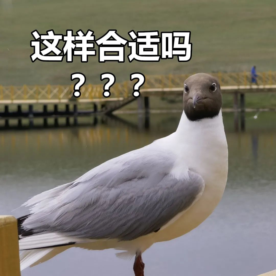 “霸王条款”、虚假宣传!厦门三家校外培训机构被立案调查!休闲区蓝鸢梦想 - Www.slyday.coM “霸王条款”、虚假宣传!厦门三家校外培训机构被立案调查!休闲区蓝鸢梦想 - Www.slyday.coM