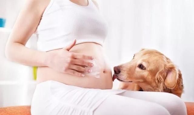 备孕期间可以养宠物吗?需要注意哪些方面!