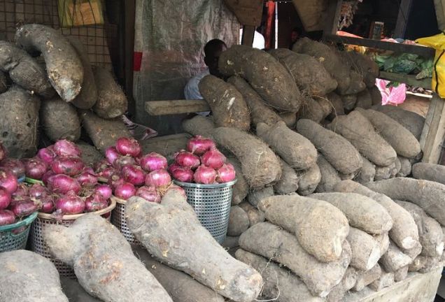 在非洲工作的朋友晒当地菜市场,朋友圈走红,网友:场面太生猛休闲区蓝鸢梦想 - Www.slyday.coM 在非洲工作的朋友晒当地菜市场,朋友圈走红,网友:场面太生猛休闲区蓝鸢梦想 - Www.slyday.coM