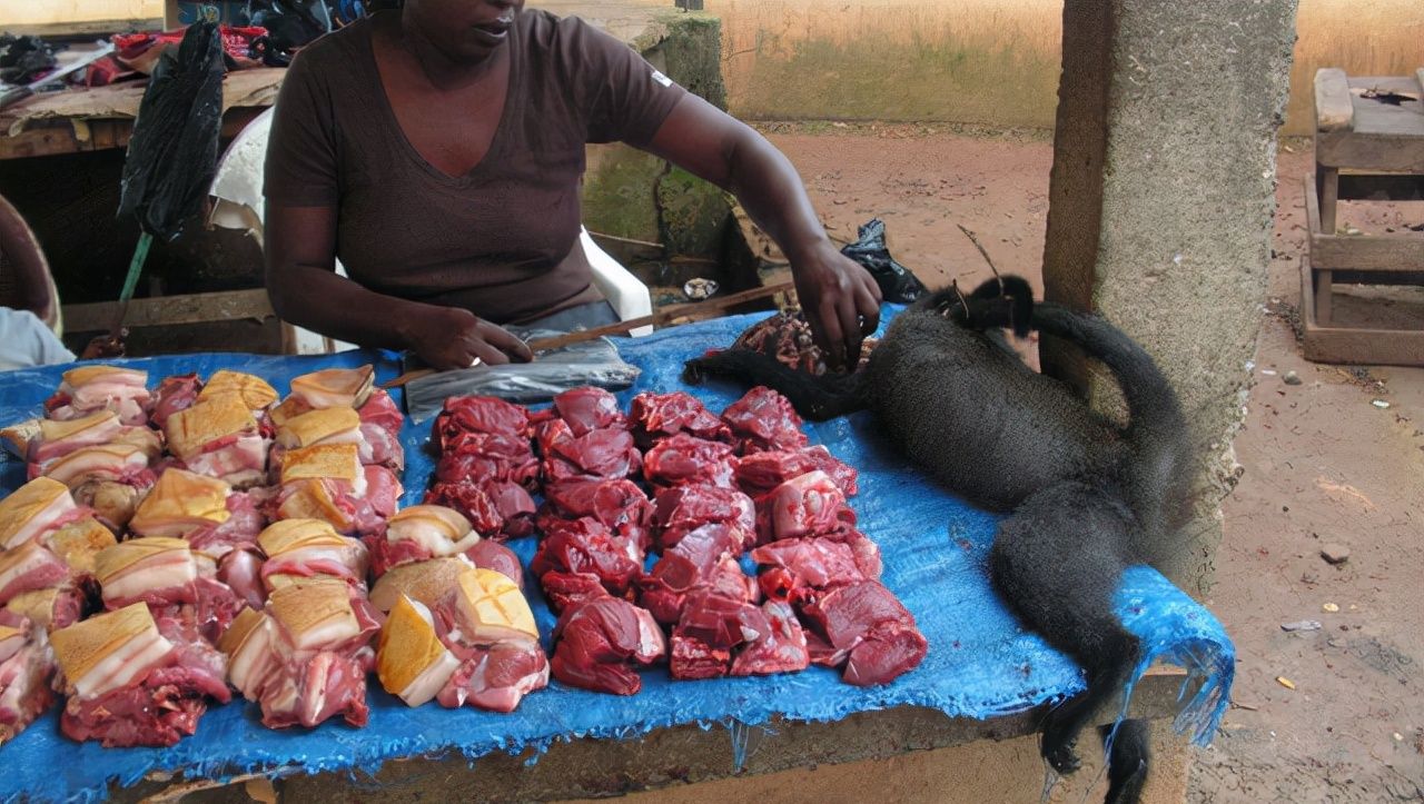 在非洲工作的朋友晒当地菜市场,朋友圈走红,网友:场面太生猛休闲区蓝鸢梦想 - Www.slyday.coM 在非洲工作的朋友晒当地菜市场,朋友圈走红,网友:场面太生猛休闲区蓝鸢梦想 - Www.slyday.coM