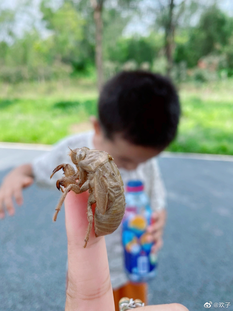 孕妈妈不仅在孕晚期还要挤地铁公交……