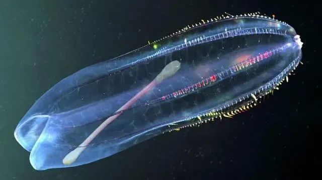 29岁女生4年垃圾仅一玻璃瓶,捡破烂造家具,从不用姨妈巾,却被外网吹爆?休闲区蓝鸢梦想 - Www.slyday.coM 29岁女生4年垃圾仅一玻璃瓶,捡破烂造家具,从不用姨妈巾,却被外网吹爆?休闲区蓝鸢梦想 - Www.slyday.coM