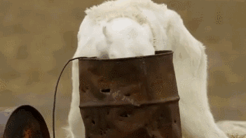 29岁女生4年垃圾仅一玻璃瓶,捡破烂造家具,从不用姨妈巾,却被外网吹爆?休闲区蓝鸢梦想 - Www.slyday.coM 29岁女生4年垃圾仅一玻璃瓶,捡破烂造家具,从不用姨妈巾,却被外网吹爆?休闲区蓝鸢梦想 - Www.slyday.coM