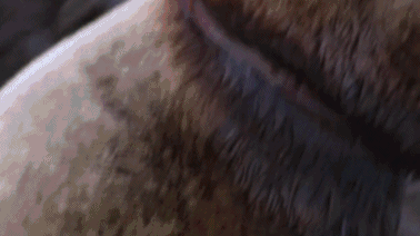 29岁女生4年垃圾仅一玻璃瓶,捡破烂造家具,从不用姨妈巾,却被外网吹爆?休闲区蓝鸢梦想 - Www.slyday.coM 29岁女生4年垃圾仅一玻璃瓶,捡破烂造家具,从不用姨妈巾,却被外网吹爆?休闲区蓝鸢梦想 - Www.slyday.coM