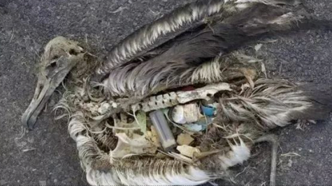 29岁女生4年垃圾仅一玻璃瓶,捡破烂造家具,从不用姨妈巾,却被外网吹爆?休闲区蓝鸢梦想 - Www.slyday.coM 29岁女生4年垃圾仅一玻璃瓶,捡破烂造家具,从不用姨妈巾,却被外网吹爆?休闲区蓝鸢梦想 - Www.slyday.coM