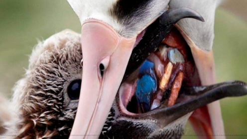 29岁女生4年垃圾仅一玻璃瓶,捡破烂造家具,从不用姨妈巾,却被外网吹爆?休闲区蓝鸢梦想 - Www.slyday.coM 29岁女生4年垃圾仅一玻璃瓶,捡破烂造家具,从不用姨妈巾,却被外网吹爆?休闲区蓝鸢梦想 - Www.slyday.coM