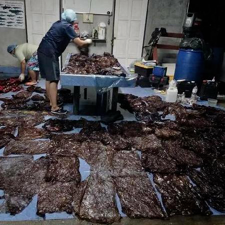 29岁女生4年垃圾仅一玻璃瓶,捡破烂造家具,从不用姨妈巾,却被外网吹爆?休闲区蓝鸢梦想 - Www.slyday.coM 29岁女生4年垃圾仅一玻璃瓶,捡破烂造家具,从不用姨妈巾,却被外网吹爆?休闲区蓝鸢梦想 - Www.slyday.coM