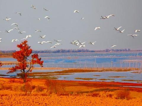 值得关注的江西进贤县站大街及历史沿革浅析