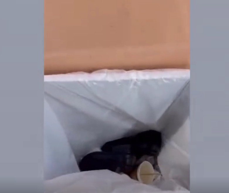 男子地铁内脱鞋横躺,鞋被乘客扔进垃圾桶!地铁回应休闲区蓝鸢梦想 - Www.slyday.coM 男子地铁内脱鞋横躺,鞋被乘客扔进垃圾桶!地铁回应休闲区蓝鸢梦想 - Www.slyday.coM