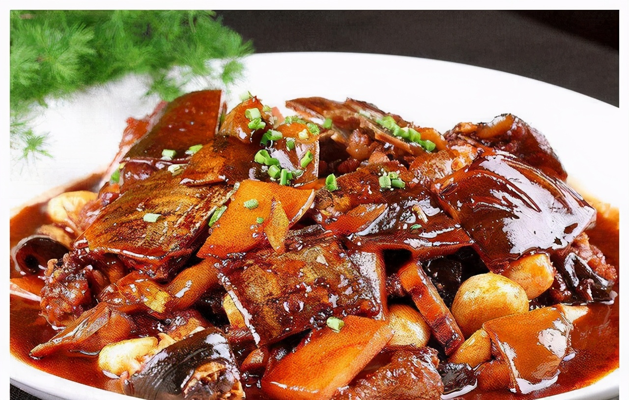 甲鱼吃什么食物 食人鱼真的能吃人吗