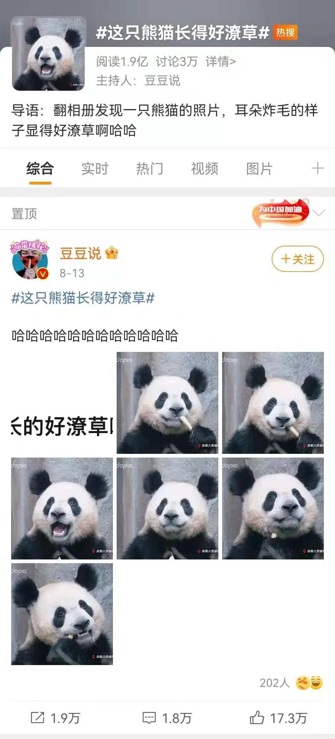 网友:成功让我忘了熊猫长啥样