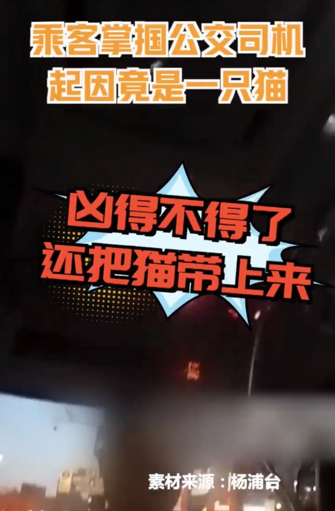 太冤了! 男子带猫上公交,司机上海话提醒被当脏话辱骂?惨遭掌掴!休闲区蓝鸢梦想 - Www.slyday.coM 太冤了! 男子带猫上公交,司机上海话提醒被当脏话辱骂?惨遭掌掴!休闲区蓝鸢梦想 - Www.slyday.coM