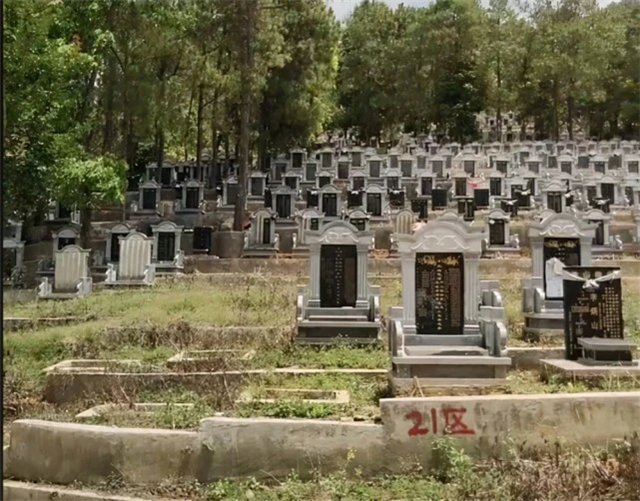于月仙回老家安葬在回民公墓引发争议，选择火化原因曝光（组图） - 3