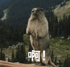 太冤了! 男子带猫上公交,司机上海话提醒被当脏话辱骂?惨遭掌掴!休闲区蓝鸢梦想 - Www.slyday.coM 太冤了! 男子带猫上公交,司机上海话提醒被当脏话辱骂?惨遭掌掴!休闲区蓝鸢梦想 - Www.slyday.coM