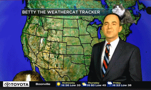 气象员在家预报却被猫抢尽风头,结果收视率直线飙升!没想到我的饭碗由一只猫保住了…休闲区蓝鸢梦想 - Www.slyday.coM 气象员在家预报却被猫抢尽风头,结果收视率直线飙升!没想到我的饭碗由一只猫保住了…休闲区蓝鸢梦想 - Www.slyday.coM