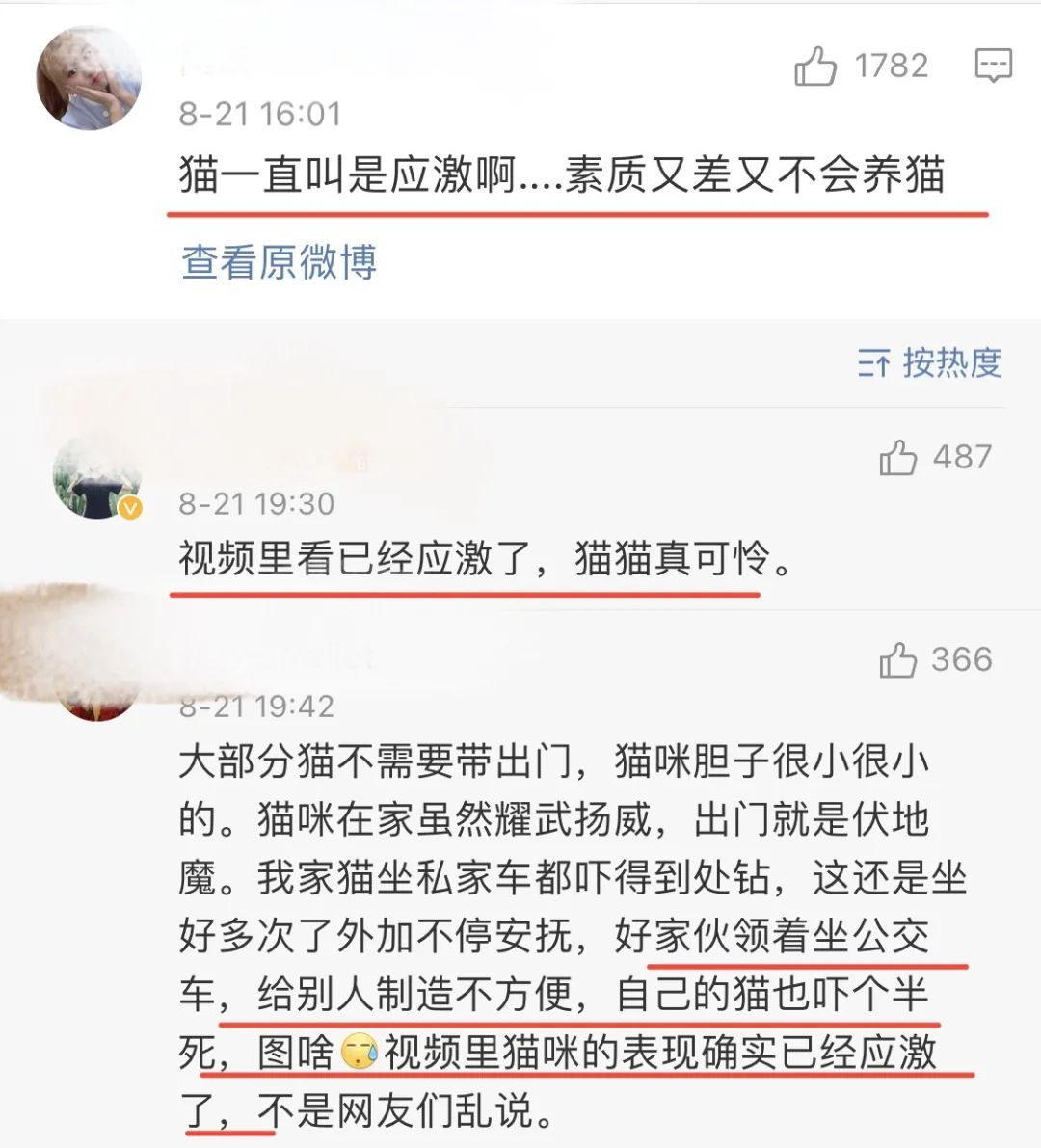 太冤了! 男子带猫上公交,司机上海话提醒被当脏话辱骂?惨遭掌掴!休闲区蓝鸢梦想 - Www.slyday.coM 太冤了! 男子带猫上公交,司机上海话提醒被当脏话辱骂?惨遭掌掴!休闲区蓝鸢梦想 - Www.slyday.coM