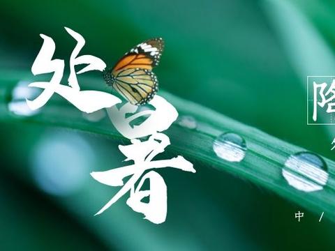 今日处暑，天凉了对约克螺杆压缩机组的保养！