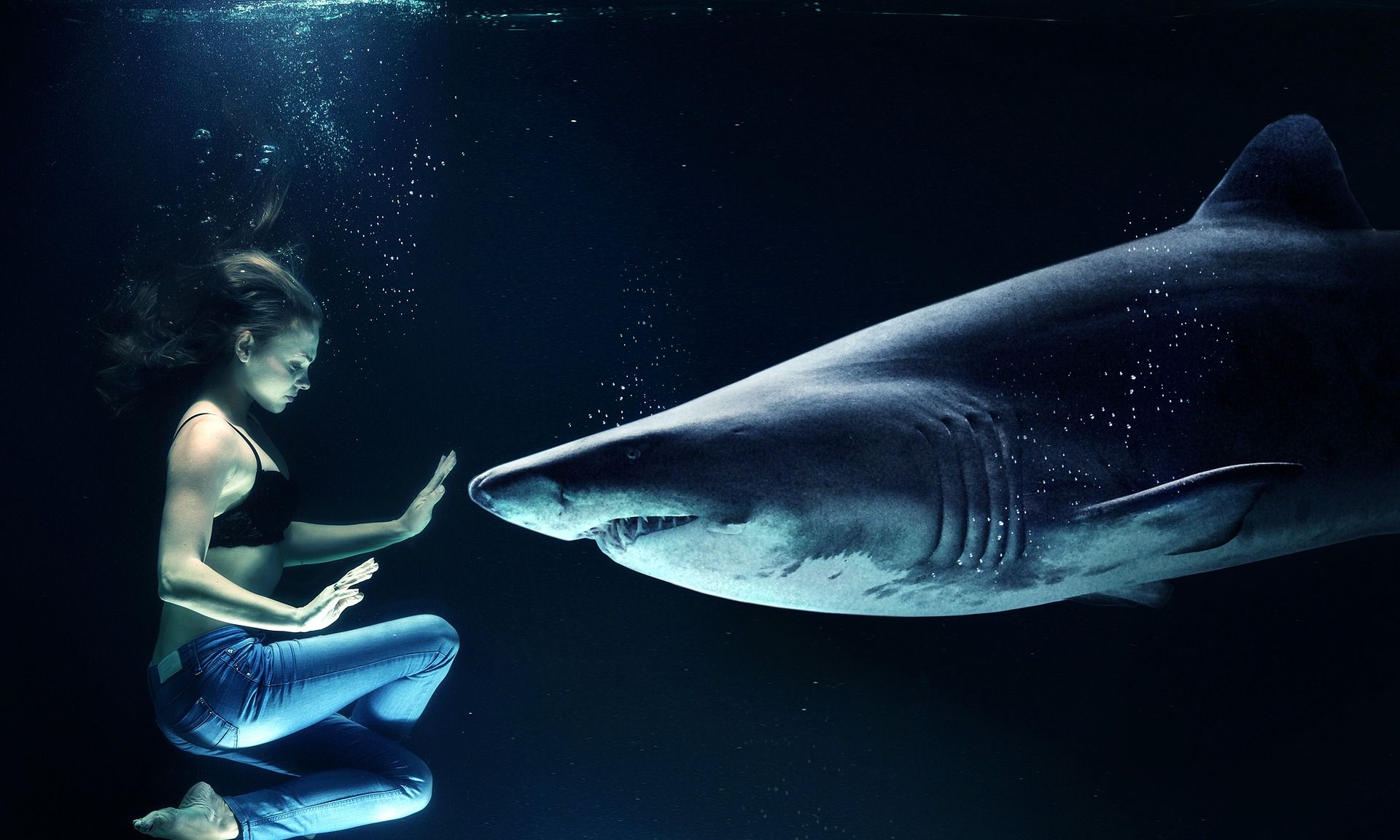 “CF一哥白鲨和那个男人合影”网友：全体起立！ - 哔哩哔哩