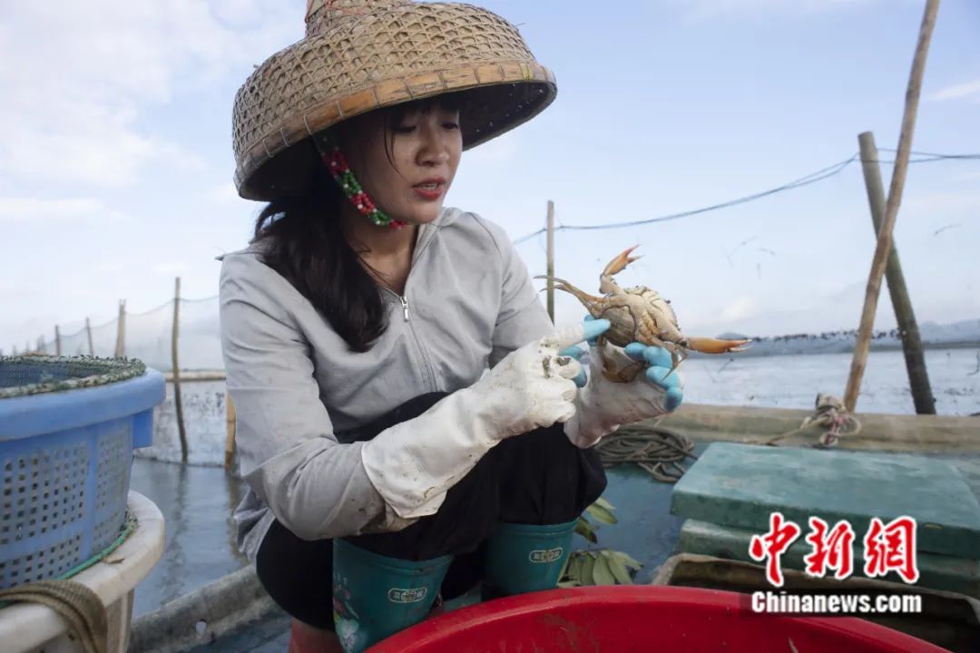 95后"阿渔妹"辞职回乡当网红,她镜头里的生活好惬意