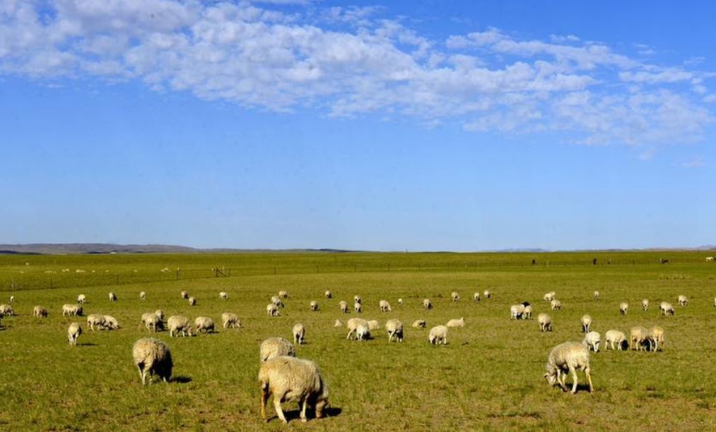 蒙古国2021年科布多省GDP_2021年,蒙古国经济终于又看到了希望(2)