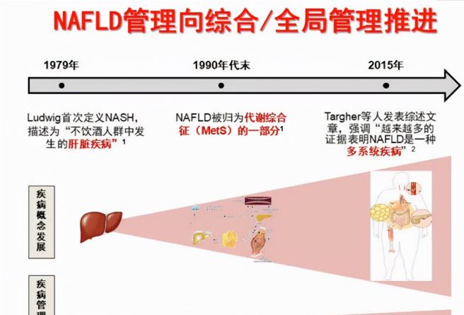 脂肪肝怎么办（脂肪肝怎么办_得了脂肪肝怎么治疗）