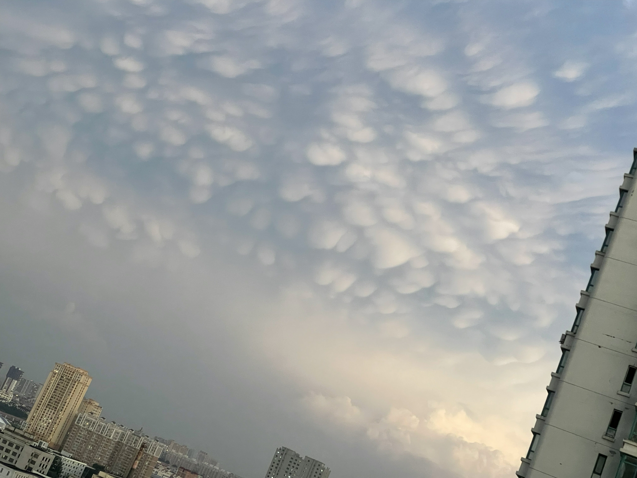 天气巨变要来了？黑龙江奇特“乳状云”涌现，分析：深秋即将来临