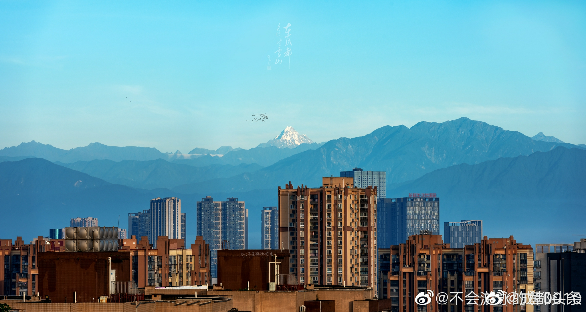 有一种美好,叫做「在成都遥望雪山」