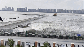 【原创】读诗人九歌《七律.渔父》有感