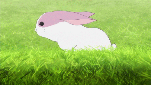 为什么说愚蠢呢,在移动上,连兔子都会正常走,游戏中的愣是没学会!