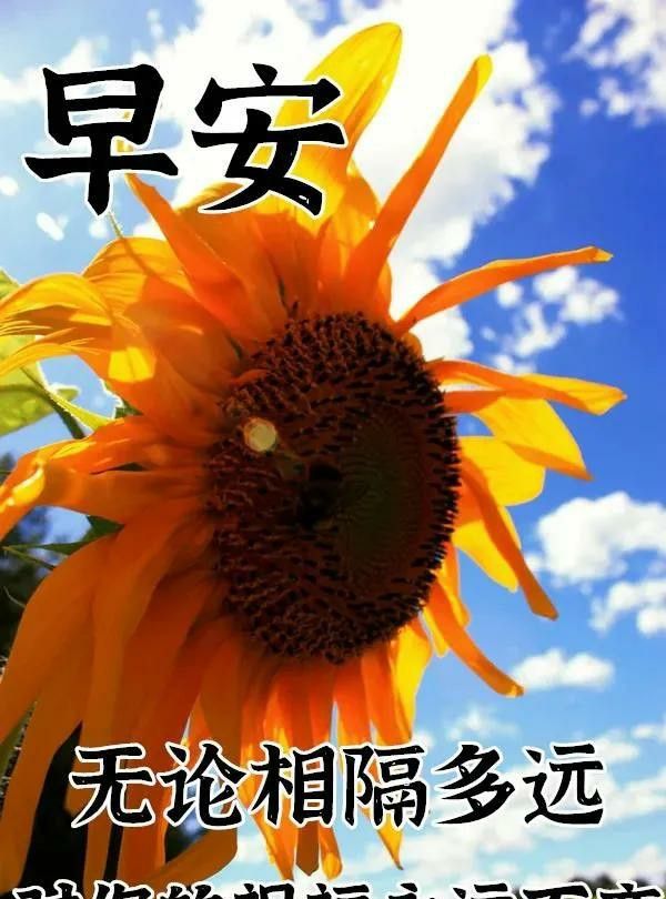 2021年早安励志图片,2021早安励志图片 2021年早安祝福,早上好励志图片