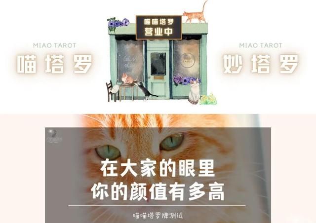 塔罗测试（塔罗测试爱情）插图