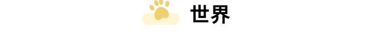 塔罗测试（塔罗测试爱情）插图5