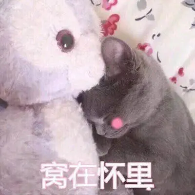 E句话看天下丨吴谢宇一审被判死刑休闲区蓝鸢梦想 - Www.slyday.coM E句话看天下丨吴谢宇一审被判死刑休闲区蓝鸢梦想 - Www.slyday.coM