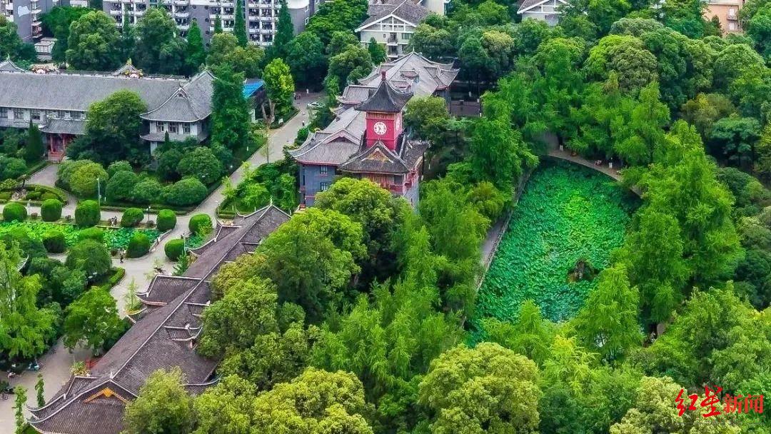 绿油油!成都凤凰山草坪焕新 坐等 本轮中超打响(图1) 成都生存网