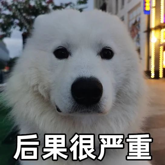 如何去黄褐斑(如何去黄褐斑效果最好)