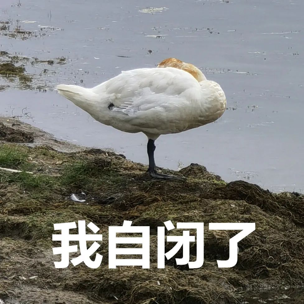 如何去黄褐斑(如何去黄褐斑效果最好)