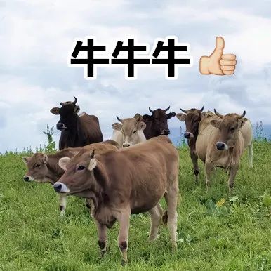 如何去黄褐斑(如何去黄褐斑效果最好)