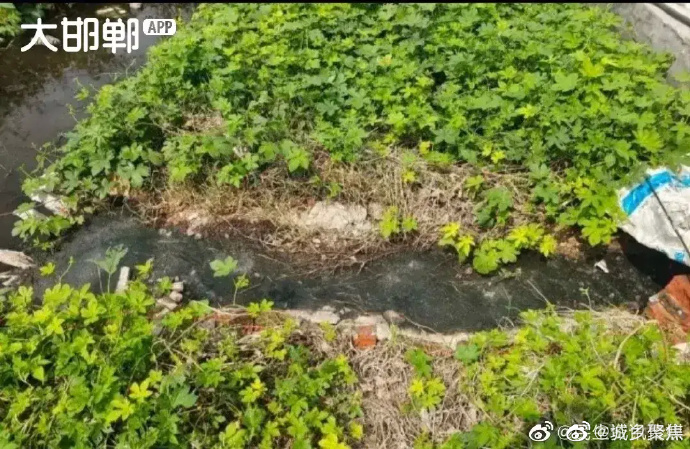 鸡泽各村人口_说说河北邯郸的一个小县人口才28万辖4个镇、3个乡