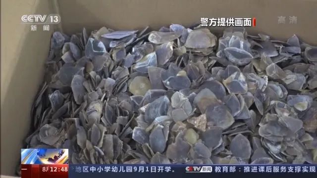 【大河早新闻】河南男子两次跳水救溺水母子/“弑母案”吴谢宇要上诉/李阳被控家暴女儿休闲区蓝鸢梦想 - Www.slyday.coM 【大河早新闻】河南男子两次跳水救溺水母子/“弑母案”吴谢宇要上诉/李阳被控家暴女儿休闲区蓝鸢梦想 - Www.slyday.coM